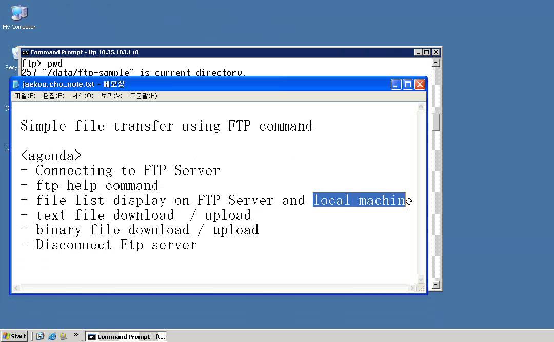 Ftp command to download file